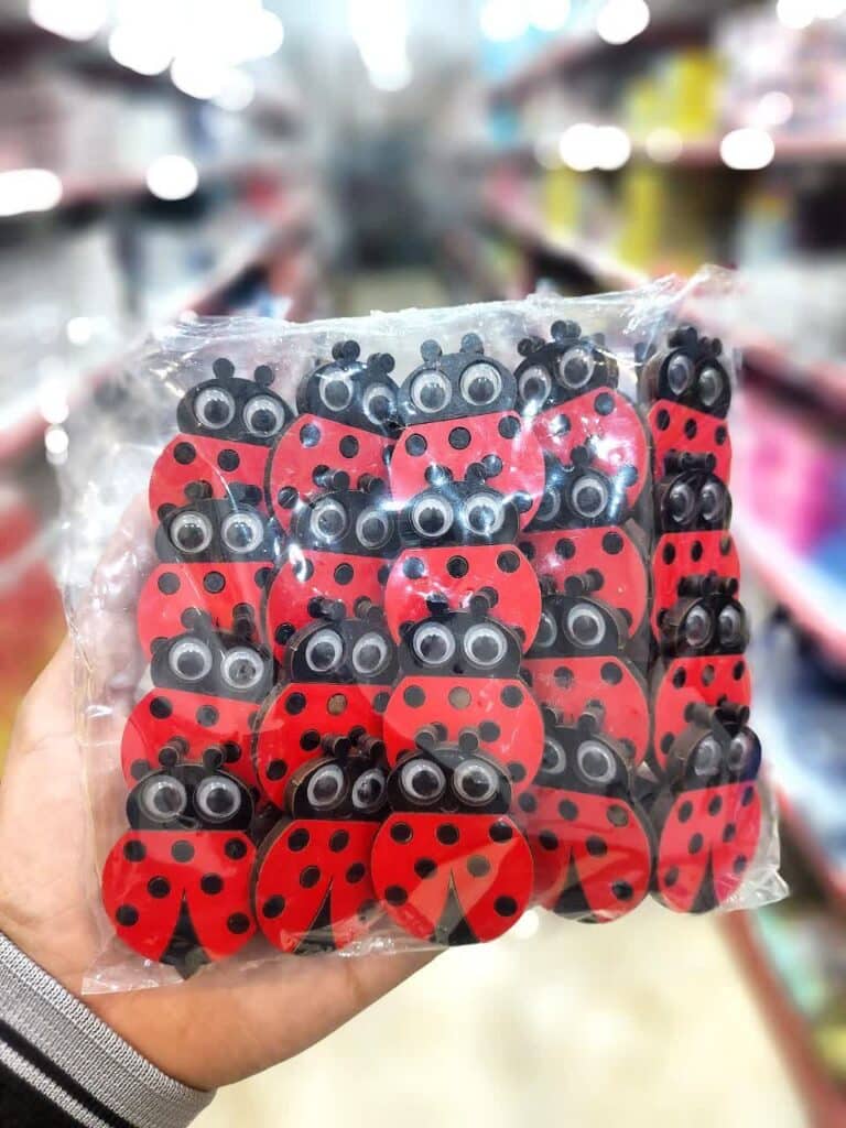 سرمدادی کفشدوزک چوبی